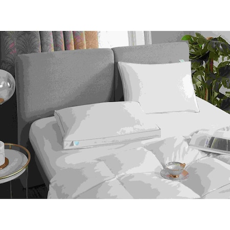 Martha Stewart White Feather & Down Pillow, Jumbo, PK2 MS201802